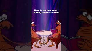 How Do You Stop Dogs Chasing On Bikes?