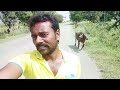 నా గేదెలు 🦬🫣, Dairy Farm,kadapa Anji Vlogs,
