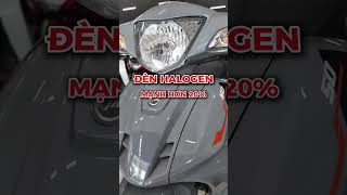 Sym Elegant 50 Mẫu Xe Hot Nhất Dành Cho Học Sinh