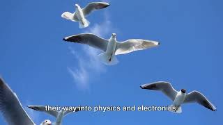 Biomimetics Natures Blueprint In Science And Technology