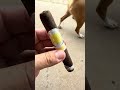 Southern Draw Evening Primrose Robusto Dark feisty little stick !