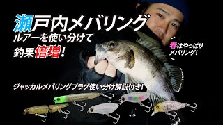 春はメバリングの最盛期！ルアーを使い分けて釣果倍増！【去川 直稔/さりかわ なおとし】