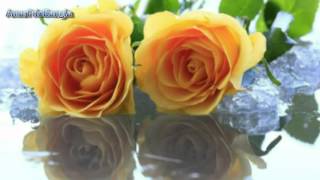 Eleyas Hossain - Tumii Are Nei Sheei Tumii