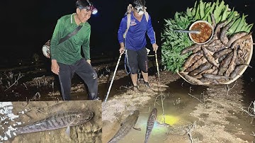 Đi kích cá về làm món cá lóc nướng nha cả nhà @utdeodongthap 