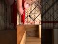 How to measure the position of wooden corner #diy #woodworking #working #tips #ideas #carpentry #art