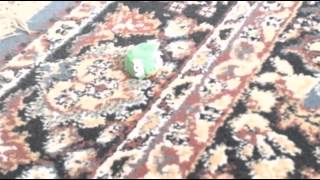 Angry Birds Under Pigstruction part 6