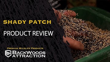 All about Shady Patch! Ultimate Throw and Grow Food Plot Blend!