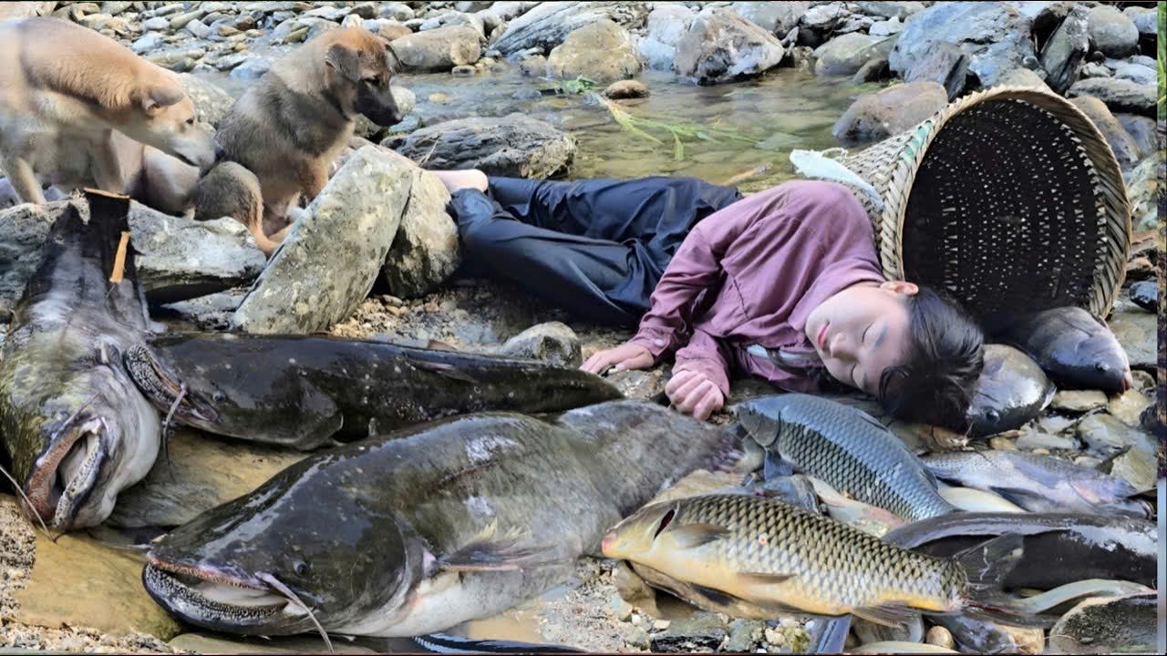 Two smart dogs go fishing for a living with a Vietnamese girl - ha thi muon