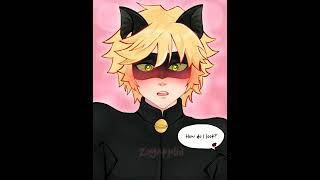 LATE NIGHT DATE🌹 #miraculous #marichat #marinette #chatnoir #ladybug #adrien #fanart #animation #art