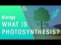What Is Photosynthesis Biology FuseSchool 