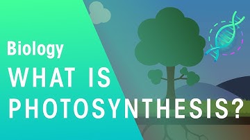 What Is Photosynthesis? | Biology | FuseSchool