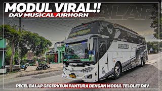 MODUL VIRAL ❗❗pecel balap gegerkeun pantura dengan model telolet dav