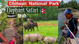 Nepal - Elephant safari in Chitwan National Park