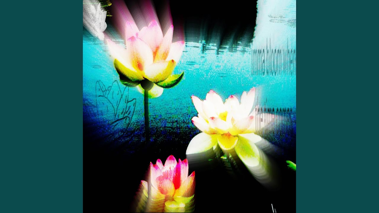 Watch lotus on YouTube Watch lotus on YouTube