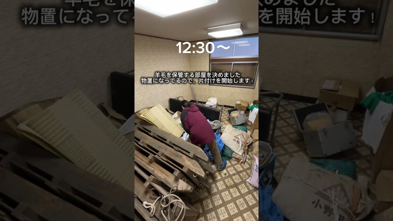 Vlog 羊飼いの作業風景  2026/2/12