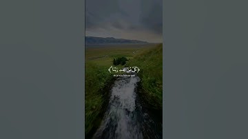 القارئ:عبد الرحمن مسعد|سورة:"آل عمران"