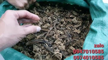 nấm ngọc cẩu khô 150k hàng mới đầu mùa 2020