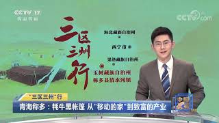 《中国三农报道》 20201215|CCTV农业