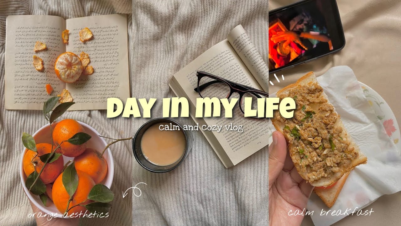 Day in MY life | Pakistani Vlogger | Scrambled Egg toast, Oranges & journaling Vlog