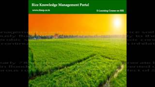 Module 4: Effects of SRI practices on plant growth and soil & Special effects of SRI.wmv