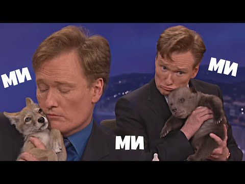 Видео: Шоу Конана. Лучшие моменты с животными [RUS VO]