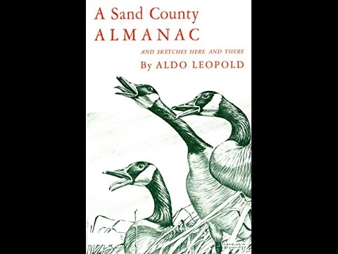 a sand county almanac and sketches here and there pdf 1000 sand county almanac summary