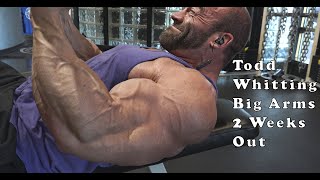 Bodybuilder Todd Whitting Looking Huge 2 Weeks Out In Arm Training Video