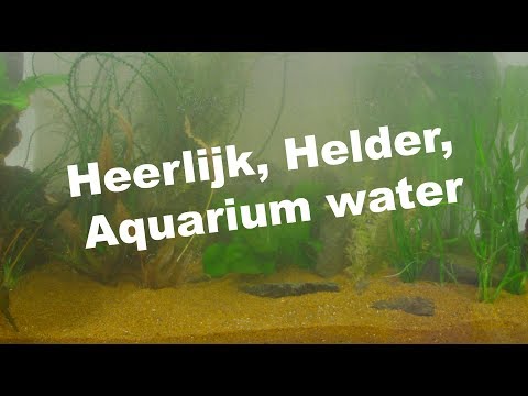 Video: Hoe Zich Te Ontdoen Van Troebel Water In Uw Aquarium?