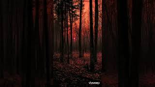 Mindme feat. Dye O - So siсk of love