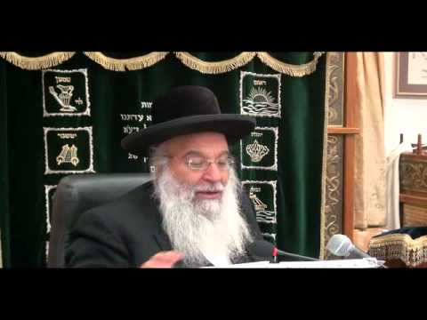 פרשת ויקרא תשע''ה - קמחא דפסחא נהר שלום