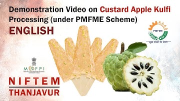 Demonstration Video on Custard Apple Kulfi Processing (under PMFME Scheme) - ENGLISH