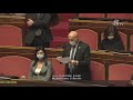 Gabriele Lanzi intervento Aula Senato 17/2/2021