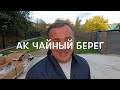 АК Чайный Берег. Акции , скидки , подарки. Дагомыс.