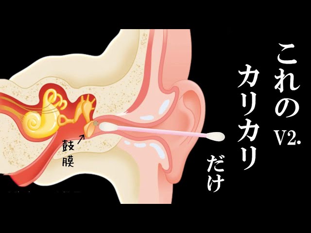 ASMR音圧が順に上がる耳掃除｜Deep ear cleaning