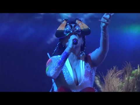 Björk : The