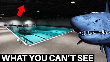 What Sharks and Minnows Hides From You (Horror Game)