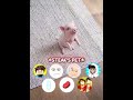 When I Gave Every Youtuber A PET... #steak #edit #ishowspeed
