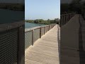 Mangrove #travel #dubai#qalba #mangrovepark #nature #beautiful #beautyofnature #beauty