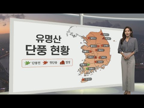 [생활날씨] 주말 서쪽 미세먼지…짙은 안개·큰 일교차 유의 / 연합뉴스TV (YonhapnewsTV)