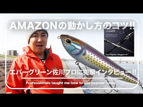 エバーグリーン アマゾンペンシルAMAZON 3点セット シーバス エバー