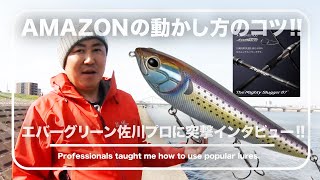 Amazon アマペン　アマゾンペンシル　3点セット アマゾンペンシル Amazon アマペン アマゾンペンシル 3点セット Amazon