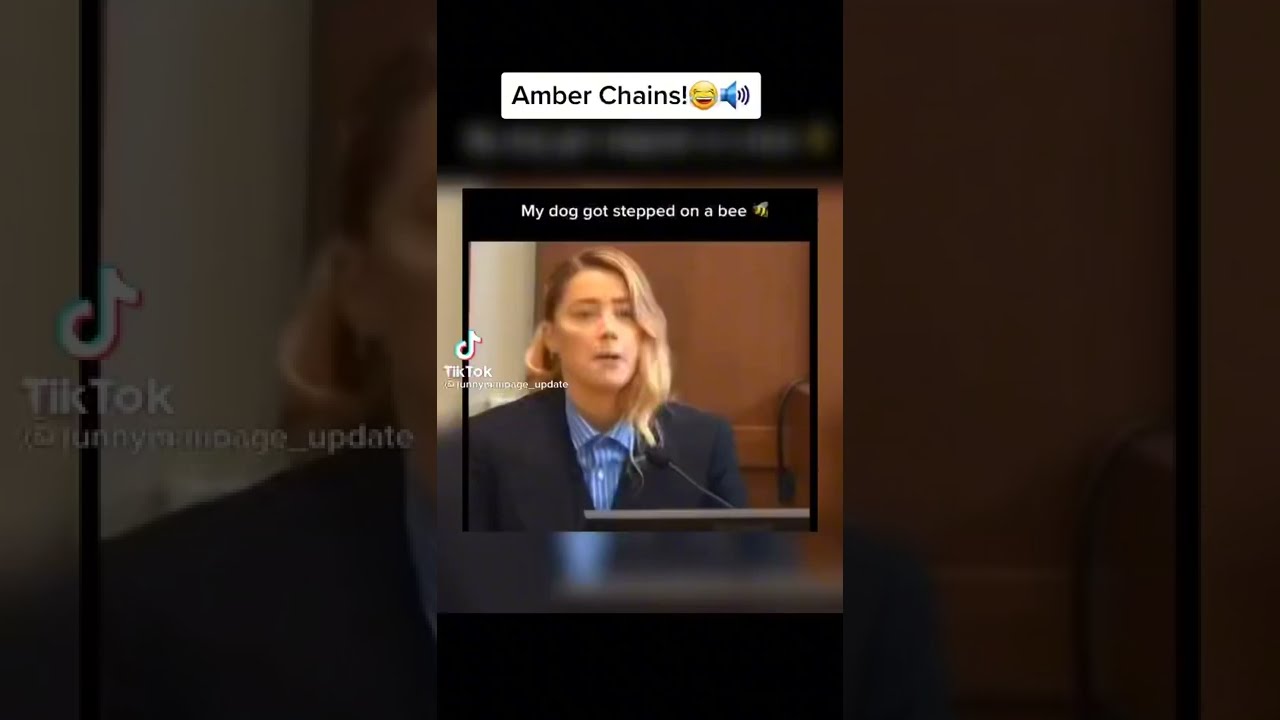 Amber court Chain Meme “My Dog Stepped On Bee” Funny TikTok Videos