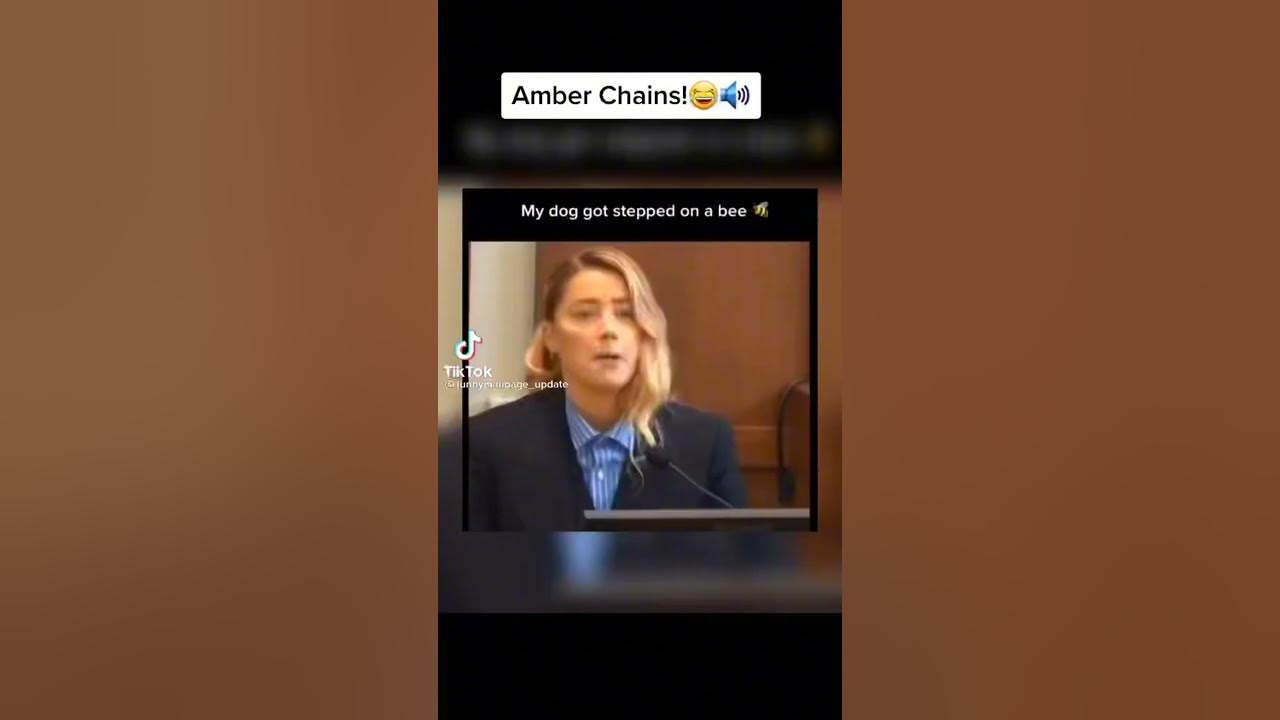 Amber court Chain Meme “My Dog Stepped On Bee” Funny TikTok Videos