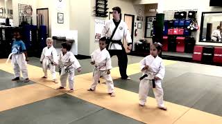 Tiny Tigers: Star Block 1-10 and 1st Form Sae Kye Hyung II Bu