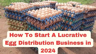 How To Start A Lucrative Egg Distribution Business In 2024