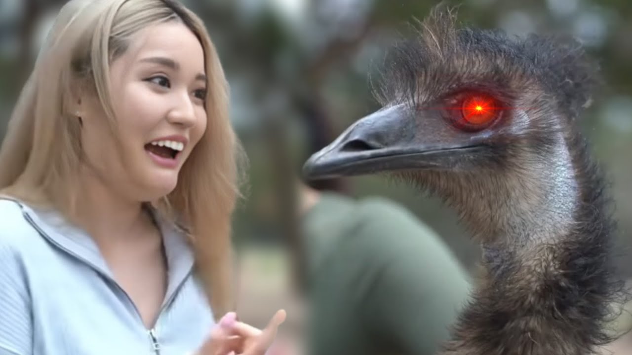 Angelskimi gets attacked by Stompy AGAIN