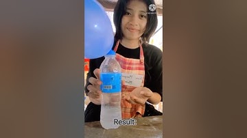 UNIT PERFORMANCE TASK IN SCIENCE (4TH QUARTER)