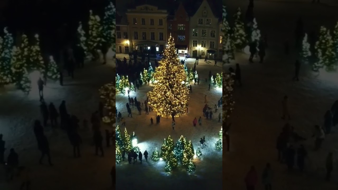 Estonia Tallinn Christmas 