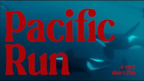 The Most Beautiful Ferry Flight in America (and It’s Electric)