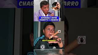Diferença Entre Charuto E Cigarro Ça